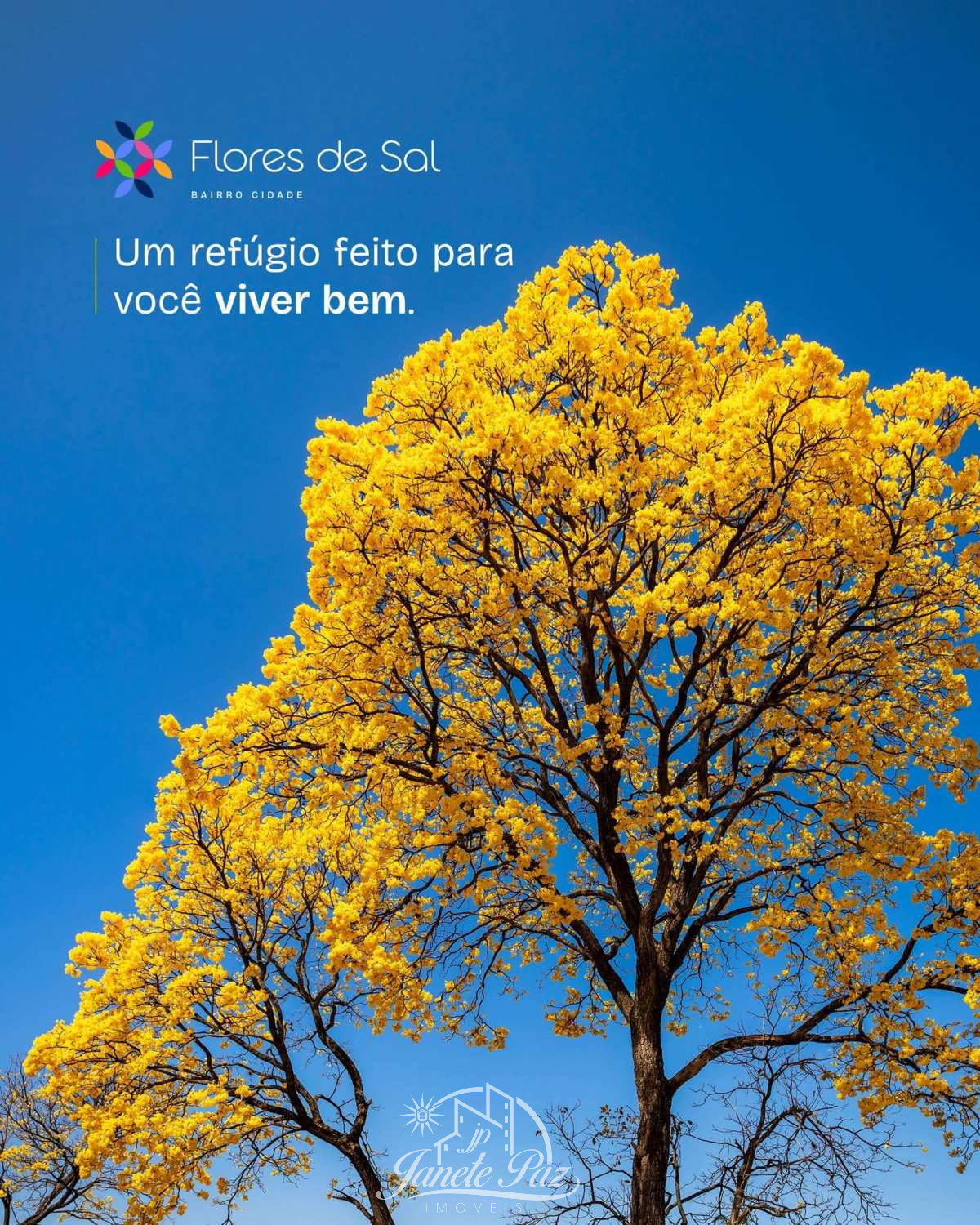  - Lote à venda, no Flores de Sal, 260,13m²